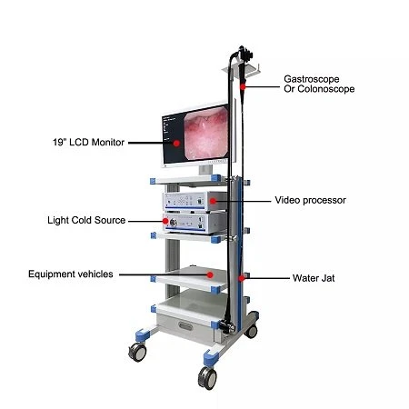 product-450-450 Medical Video Gastroscope