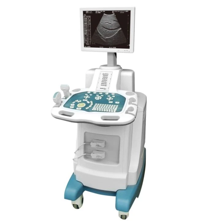 B-Scanner cu ultrasunete