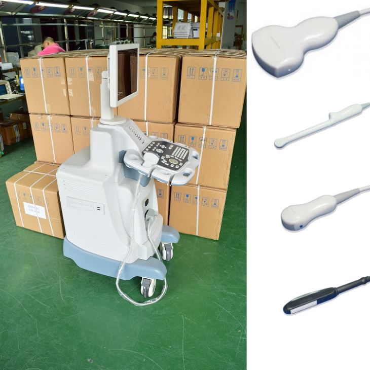 B-Ultrasound Scanner package B-Ultrasound Scanner package